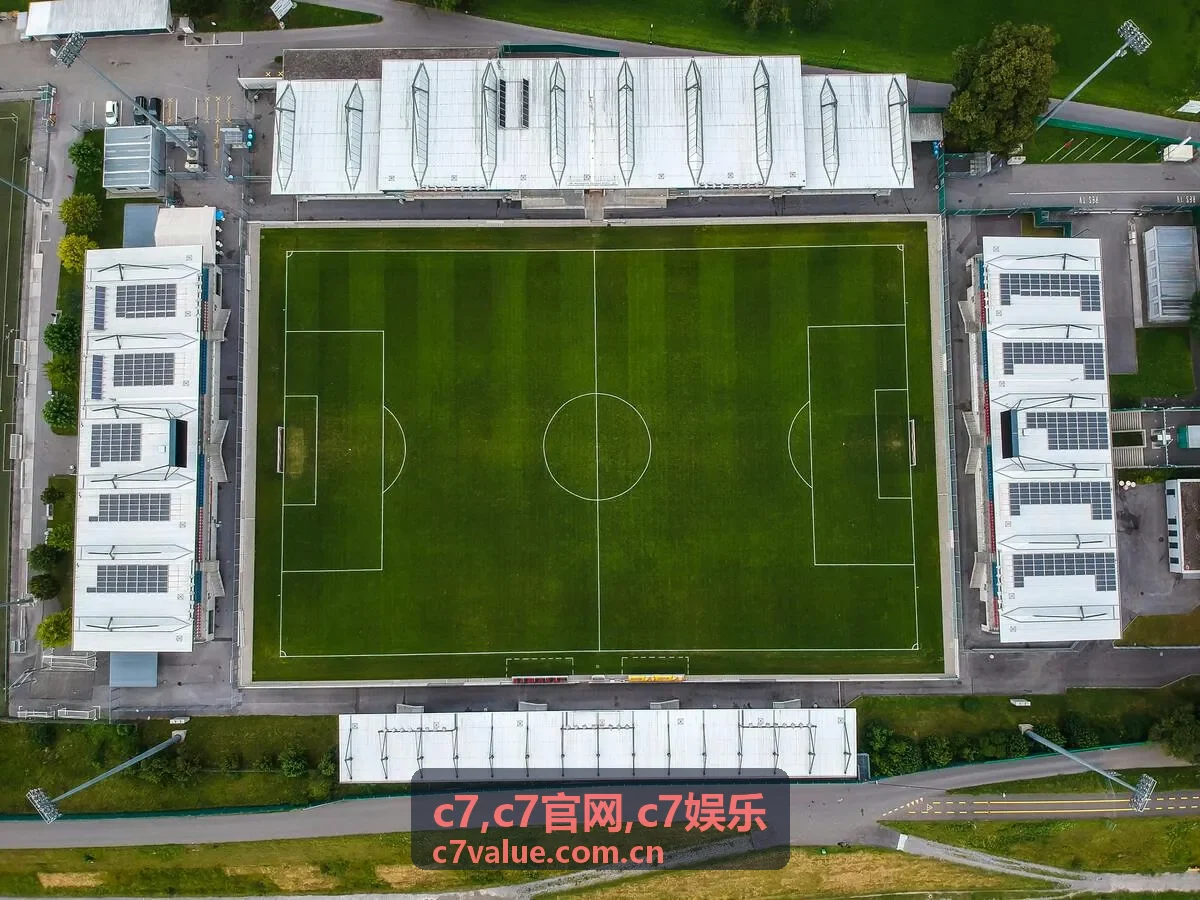 新用户查看c7官网入口说明